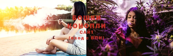 трава Аркадак