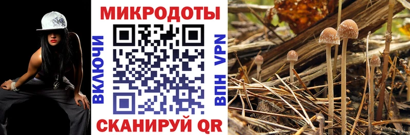 Псилоцибиновые грибы прущие грибы Купить где Кувшиново